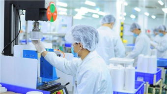 嘉定區危廢處置合同技術服務 專業、安全、高效——歡迎咨詢錦梅供應信息技術咨詢服務
